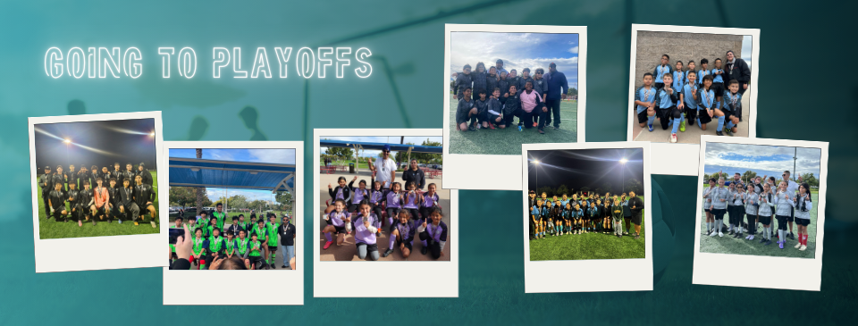 Teams Going to Playoffs