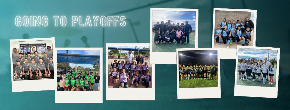 Teams Going to Playoffs